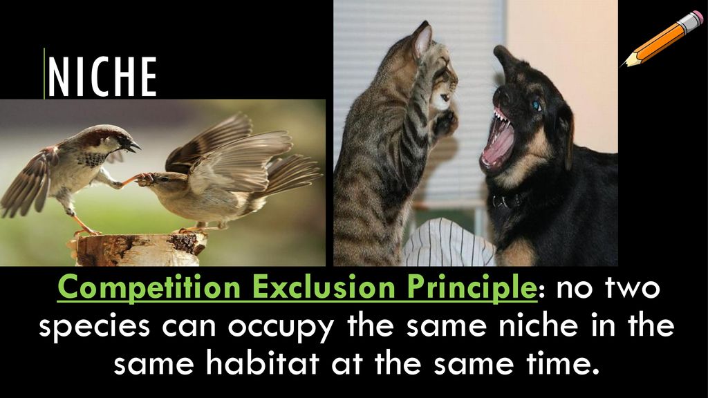 Do now activity What is the difference between abiotic and biotic