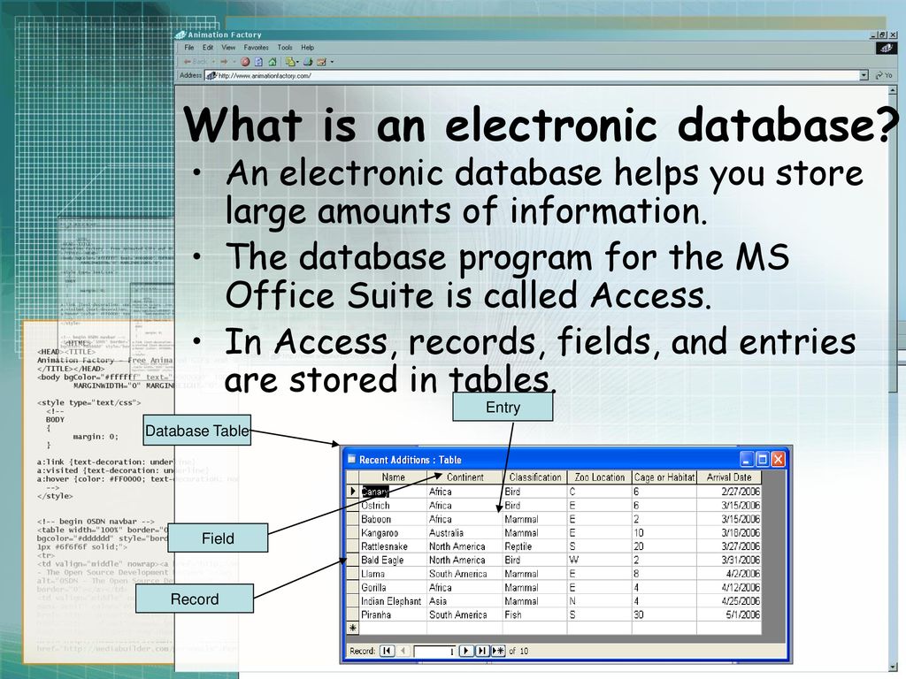 Databases. - ppt download