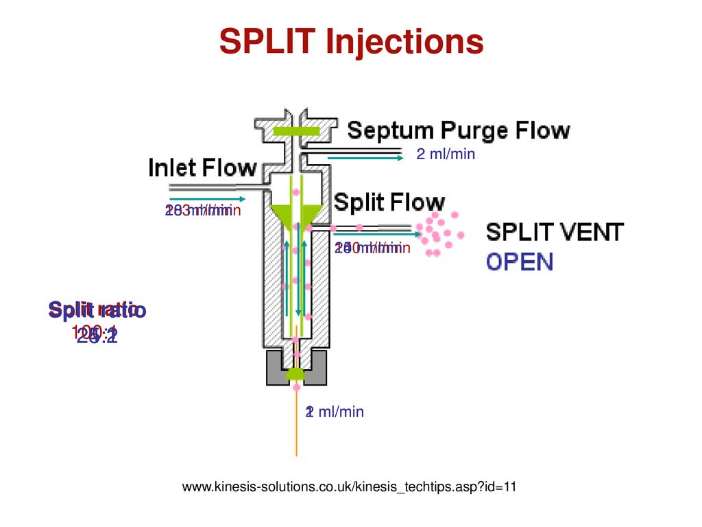 Split vent vs Septurn purge vent - Forum - Gas Chromatography