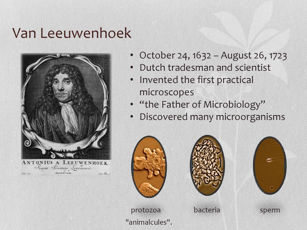 Anton Van Leeuwenhoek Discovery
