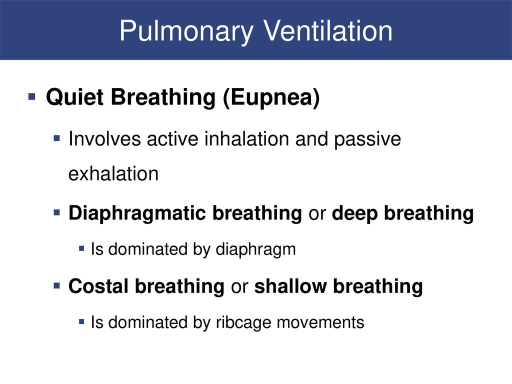 The Respiratory System - ppt download