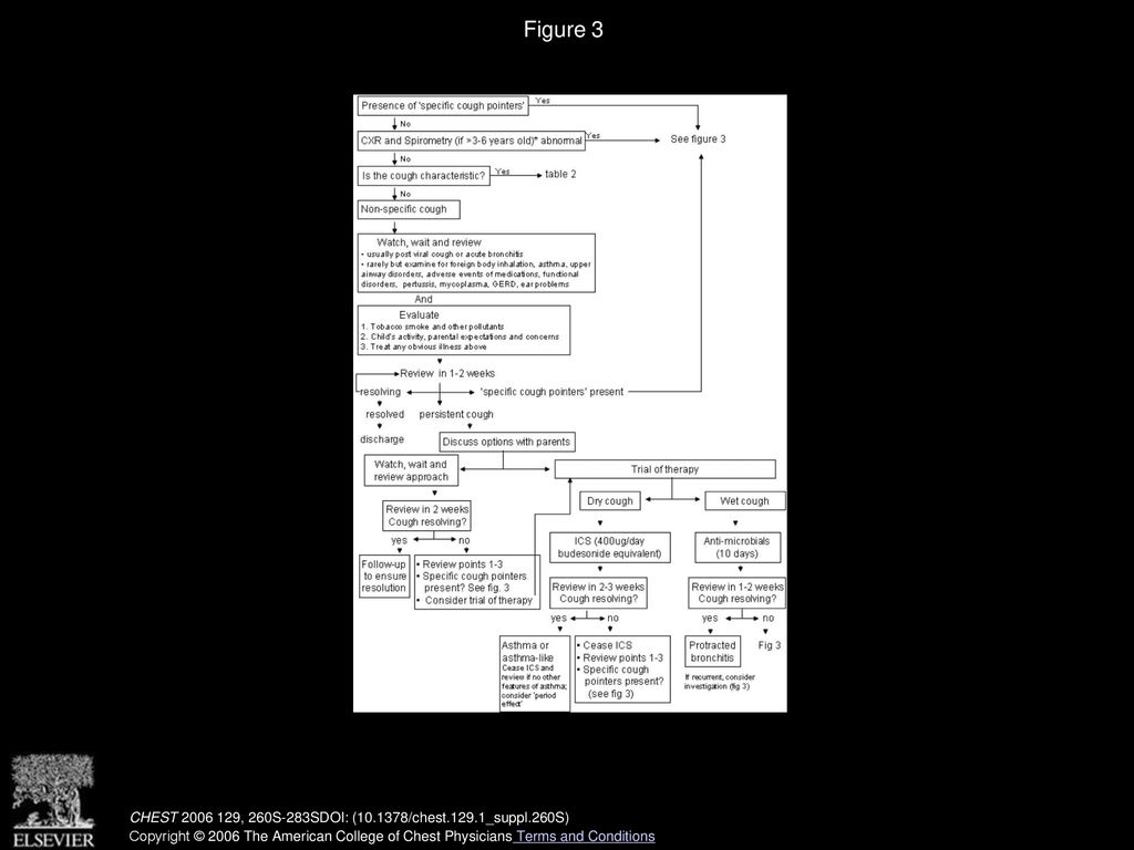 guidelines-for-evaluating-chronic-cough-in-pediatrics-ppt-download