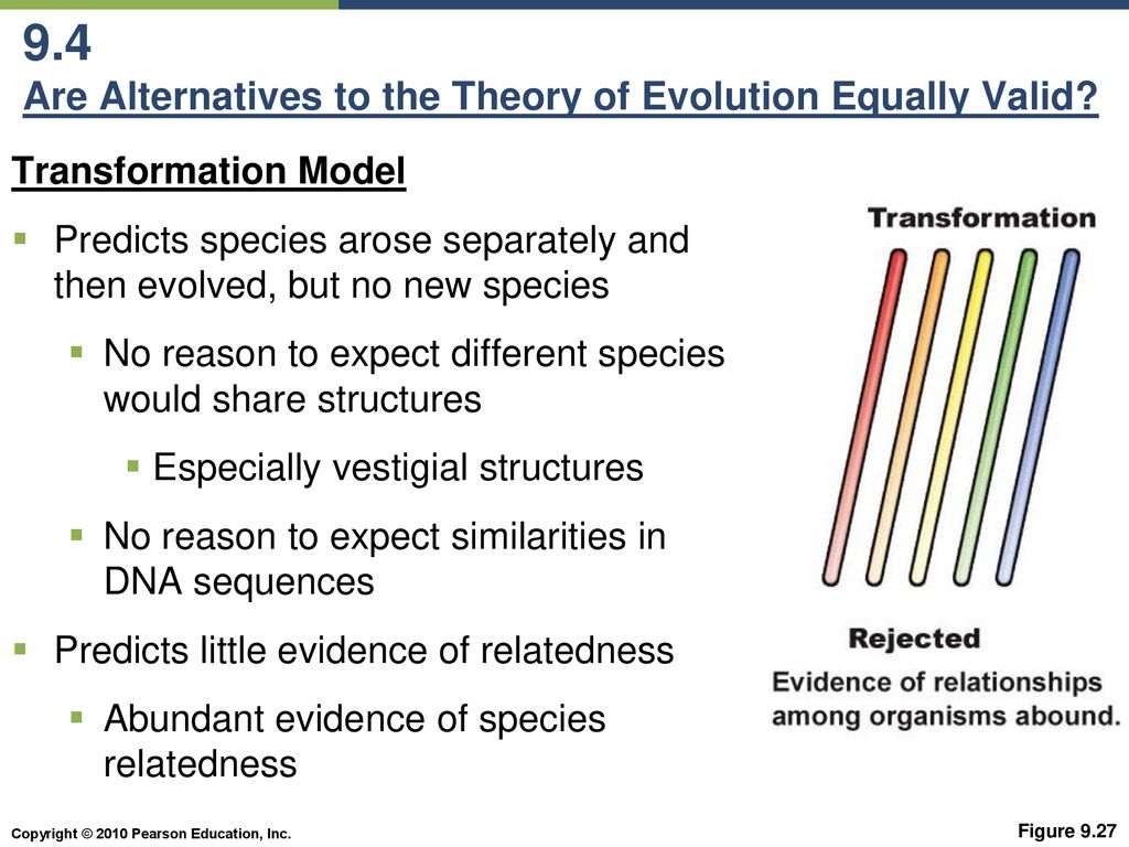 9.4 Are Alternatives to the Theory of Evolution Equally Valid