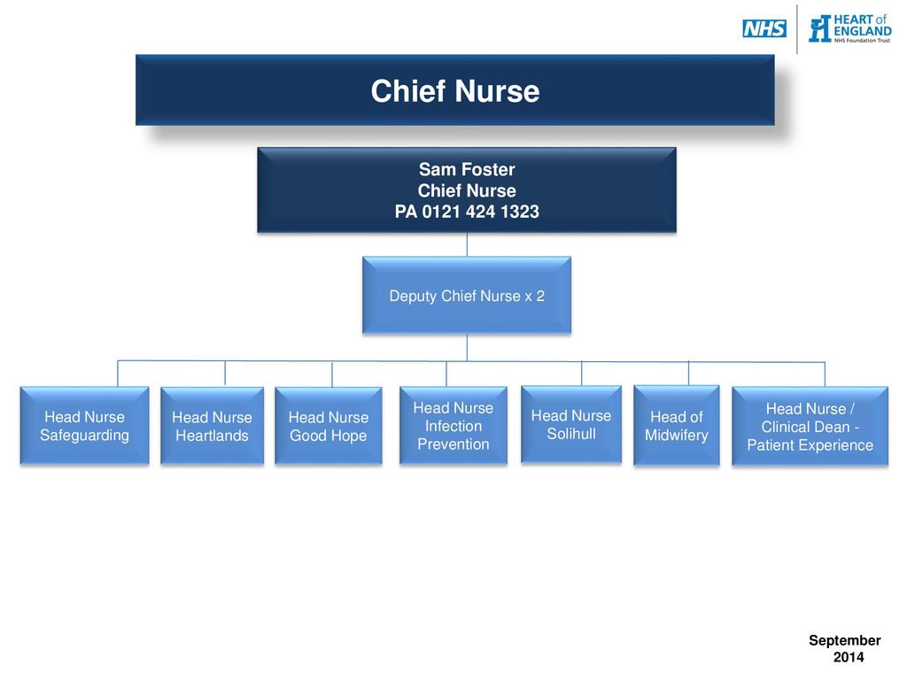 Interim Chief Executive - ppt download