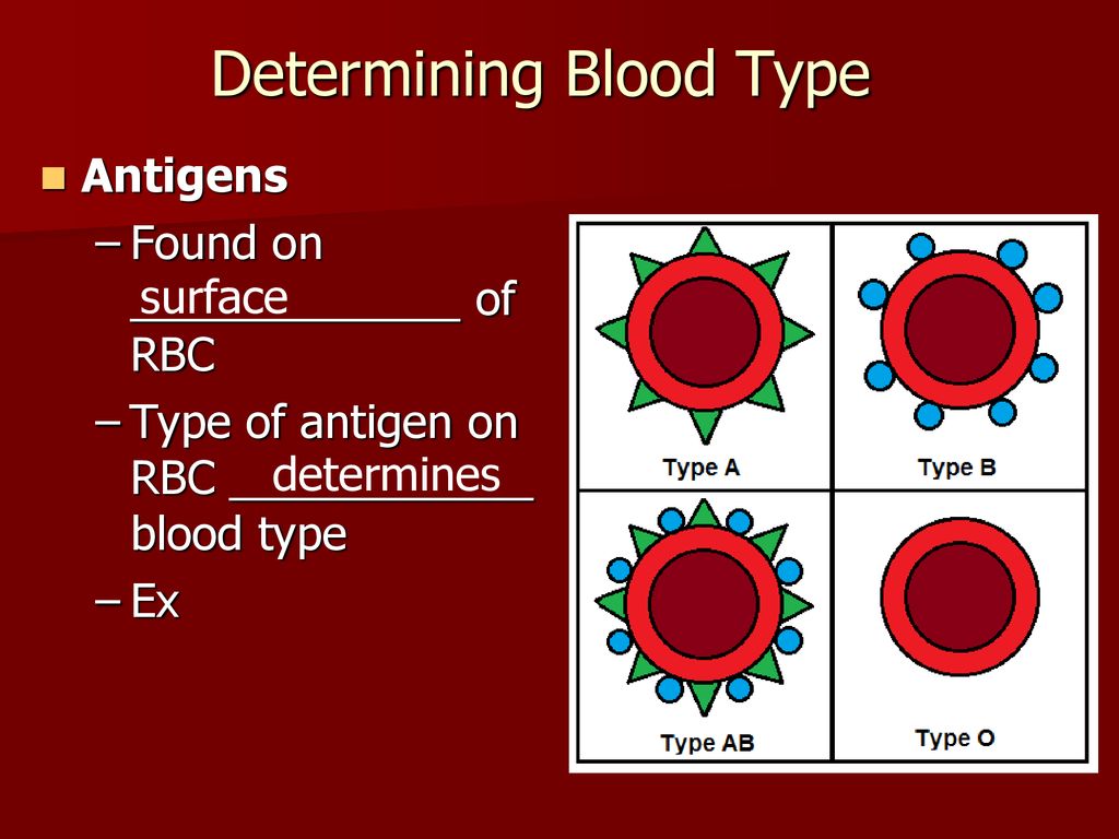 Blood and Blood Spatter - ppt download