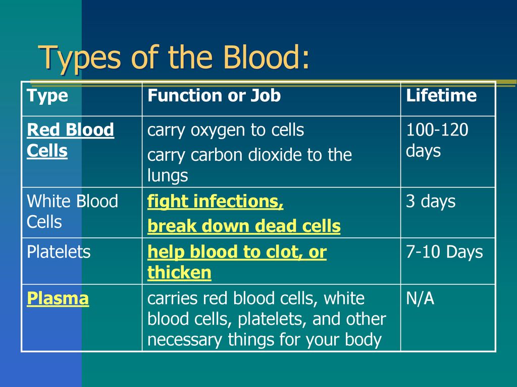 Blood Notes Ppt Download blood-notes-ppt-download