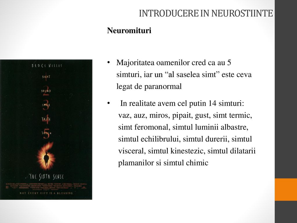 Introducere in neurostiinte - ppt download