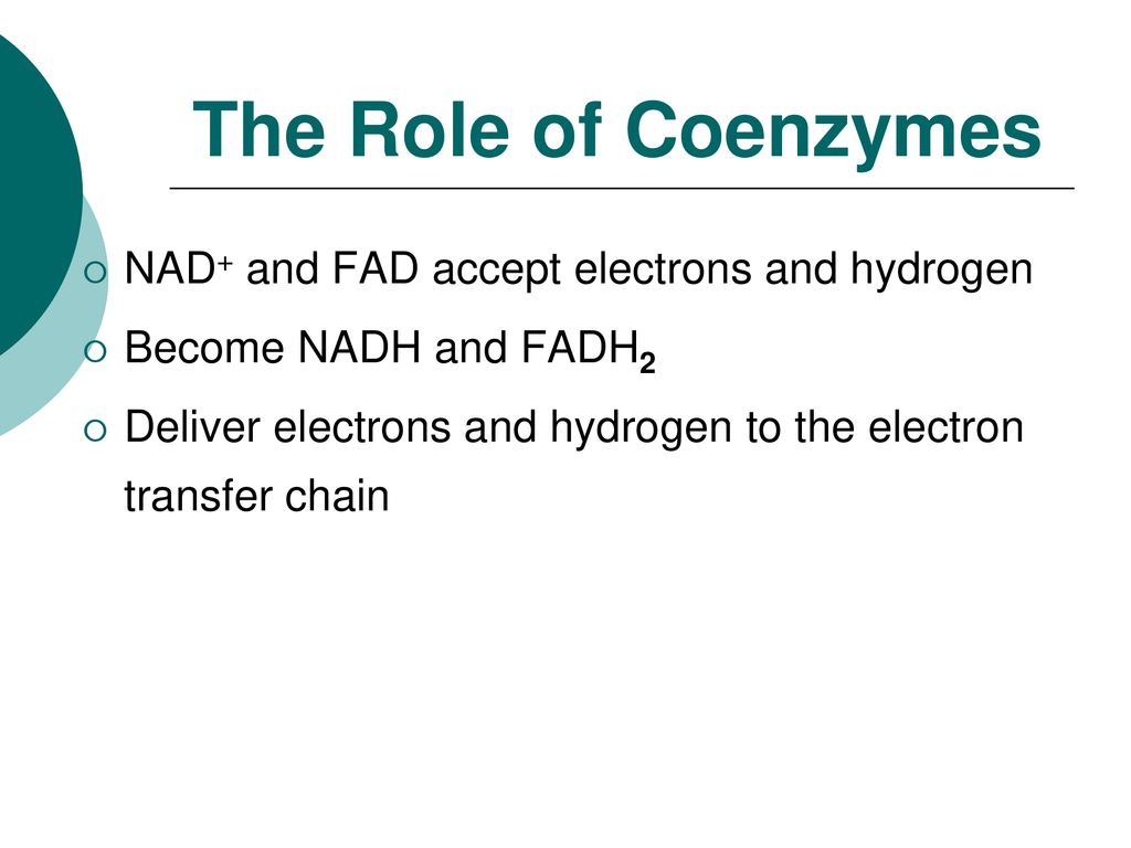 The Role of Coenzymes NAD+ and FAD accept electrons and hydrogen