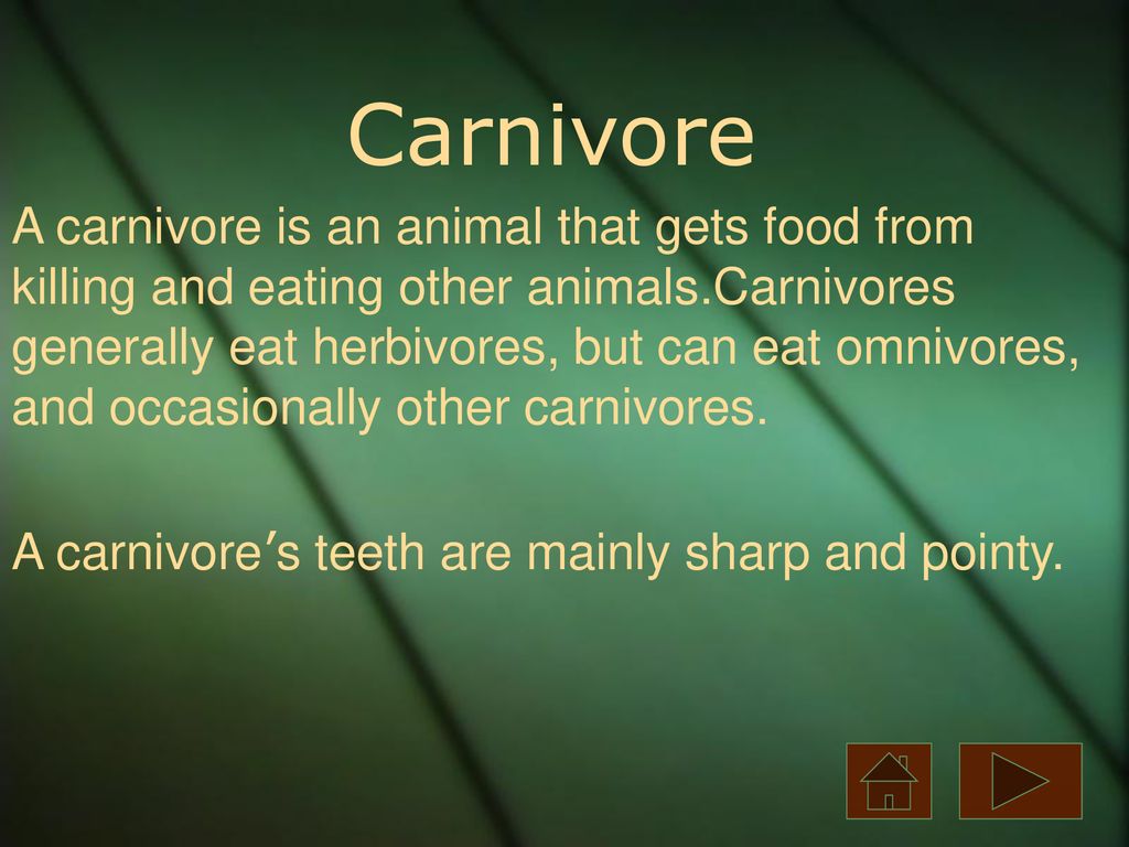 Carnivore A carnivore is an animal that gets food from killing and ... Biology Diagrams