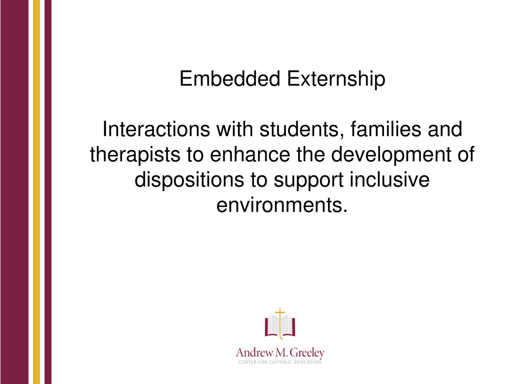 Embedded Externship Interactions with students, families and therapists to enhance the development of dispositions to support inclusive environments.