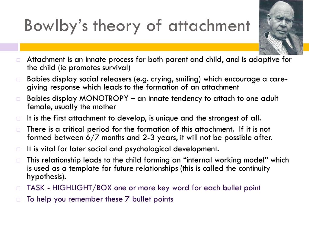 Attachment. - ppt download