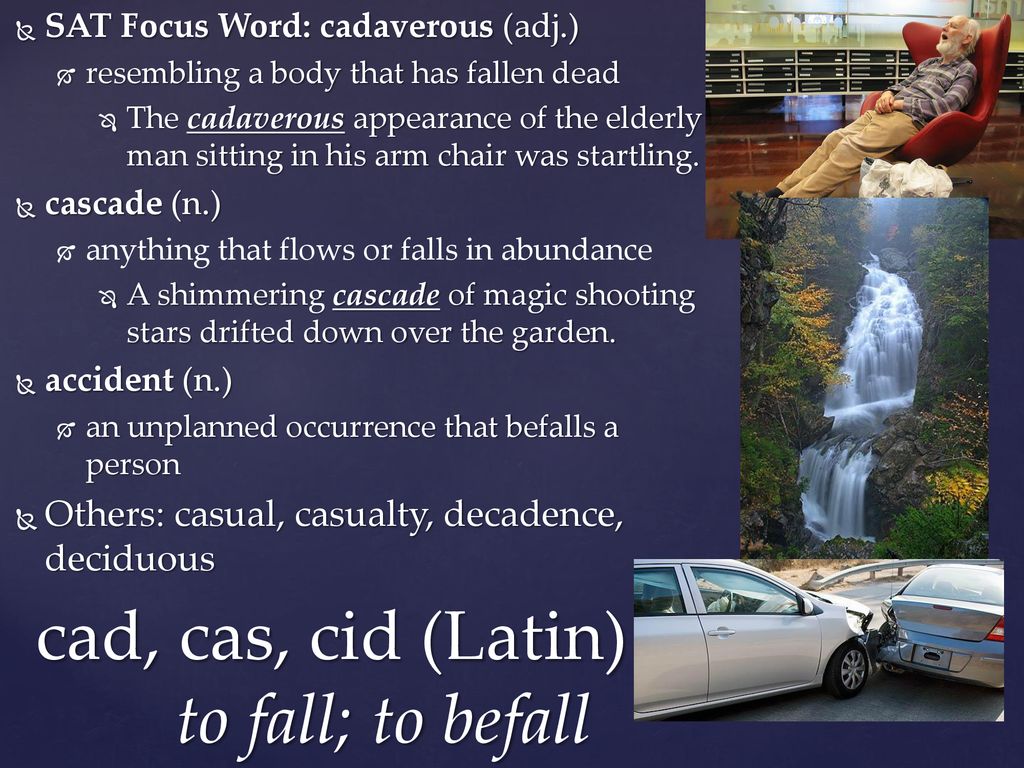 Greek Latin Word Parts Week 5 Ppt Download