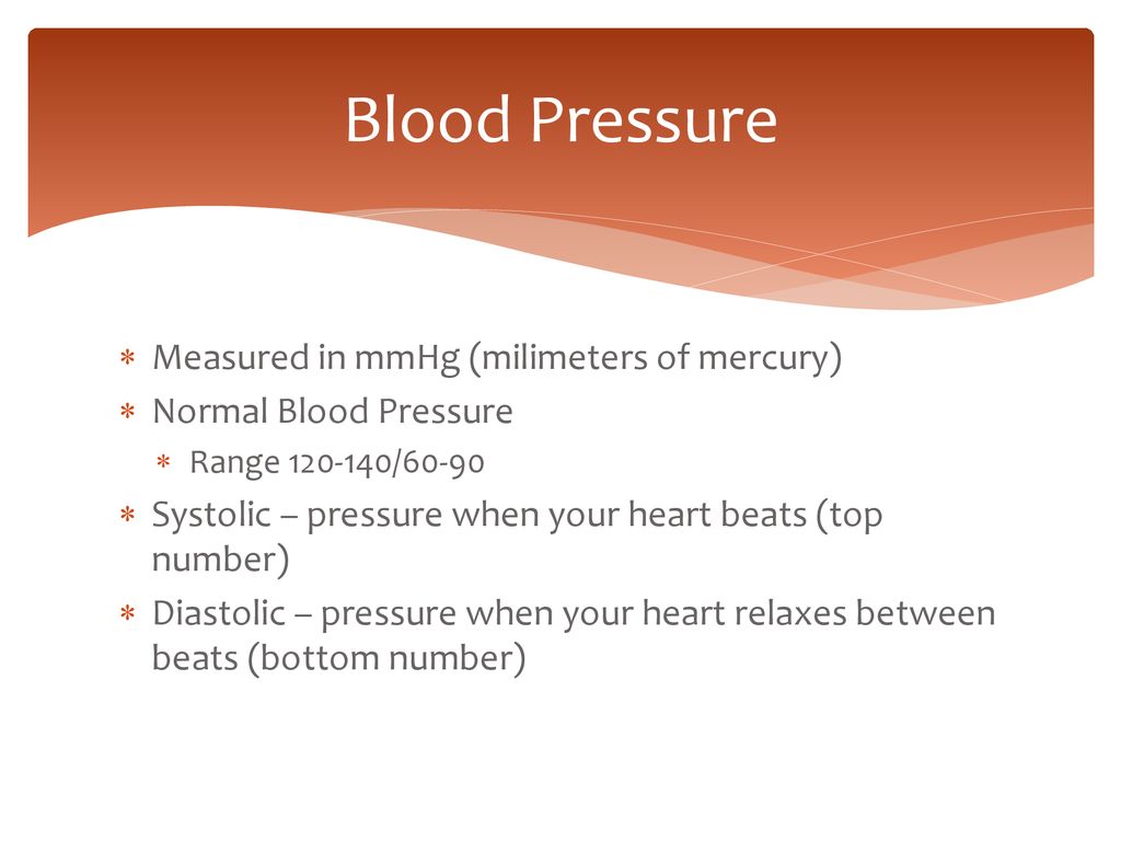 The Circulatory System Ppt Download The Circulatory System Ppt Download
