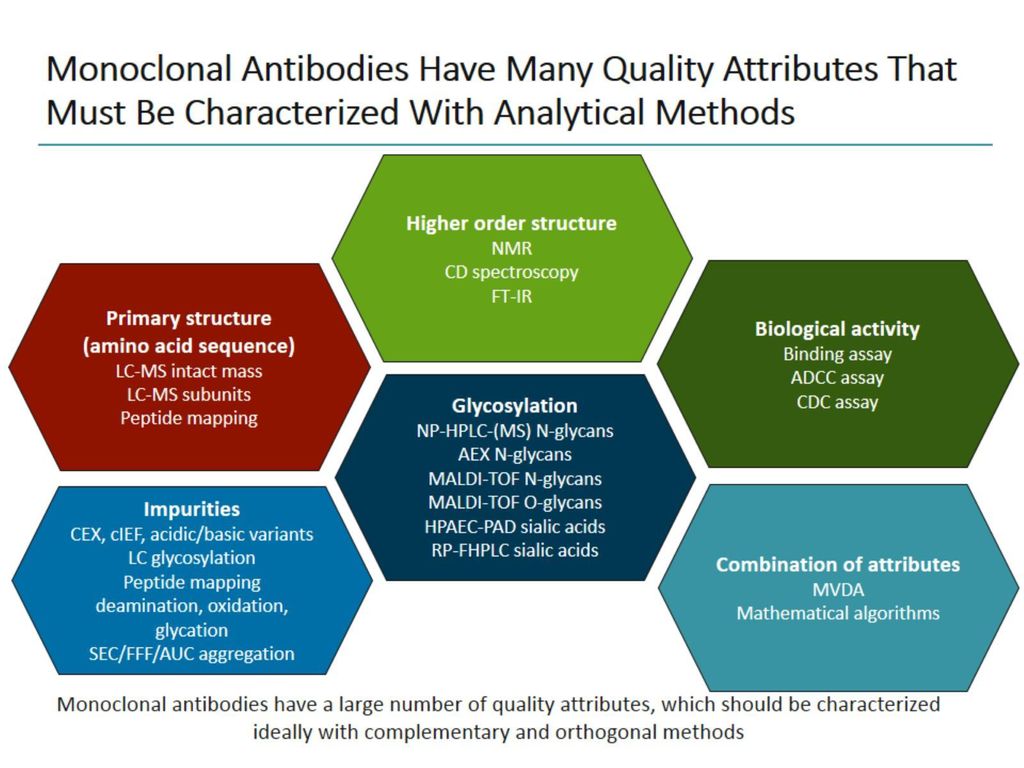 Monoclonal Antibodies Have Many Quality Attributes That Must Be Characterized With Analytical Methods