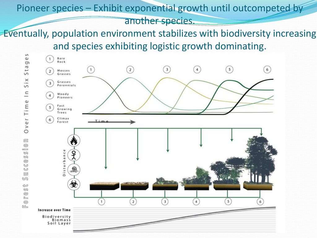 Pioneer species – Exhibit exponential growth until outcompeted by another species.