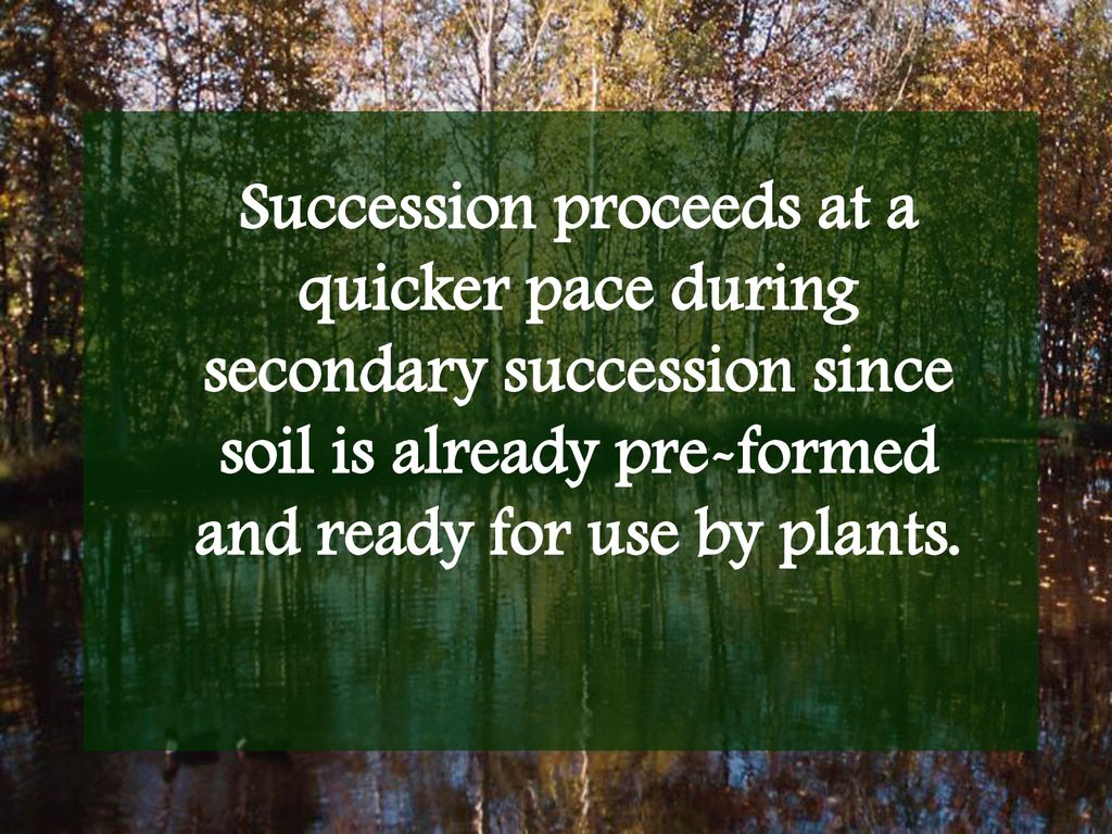 Ecological Succession - ppt download