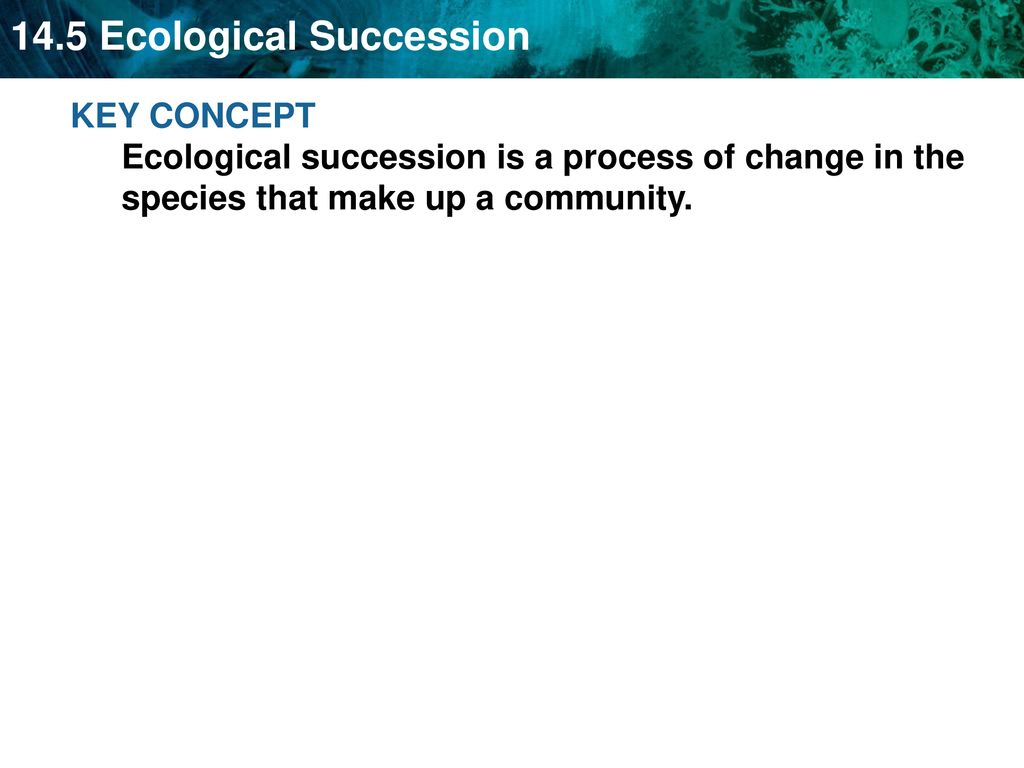 KEY CONCEPT Ecological succession is a process of change in the species that make up a community.