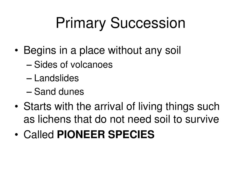 How Ecosystems Change: Ecological Succession - ppt download