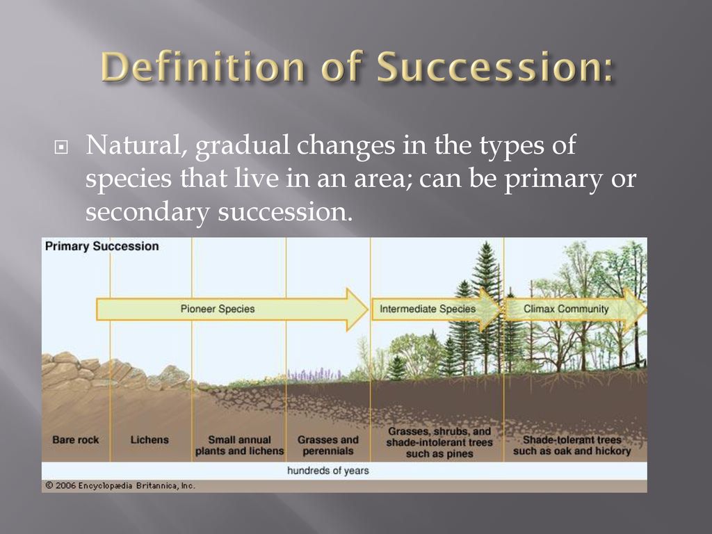Changes in Ecosystems: Ecological Succession - ppt download