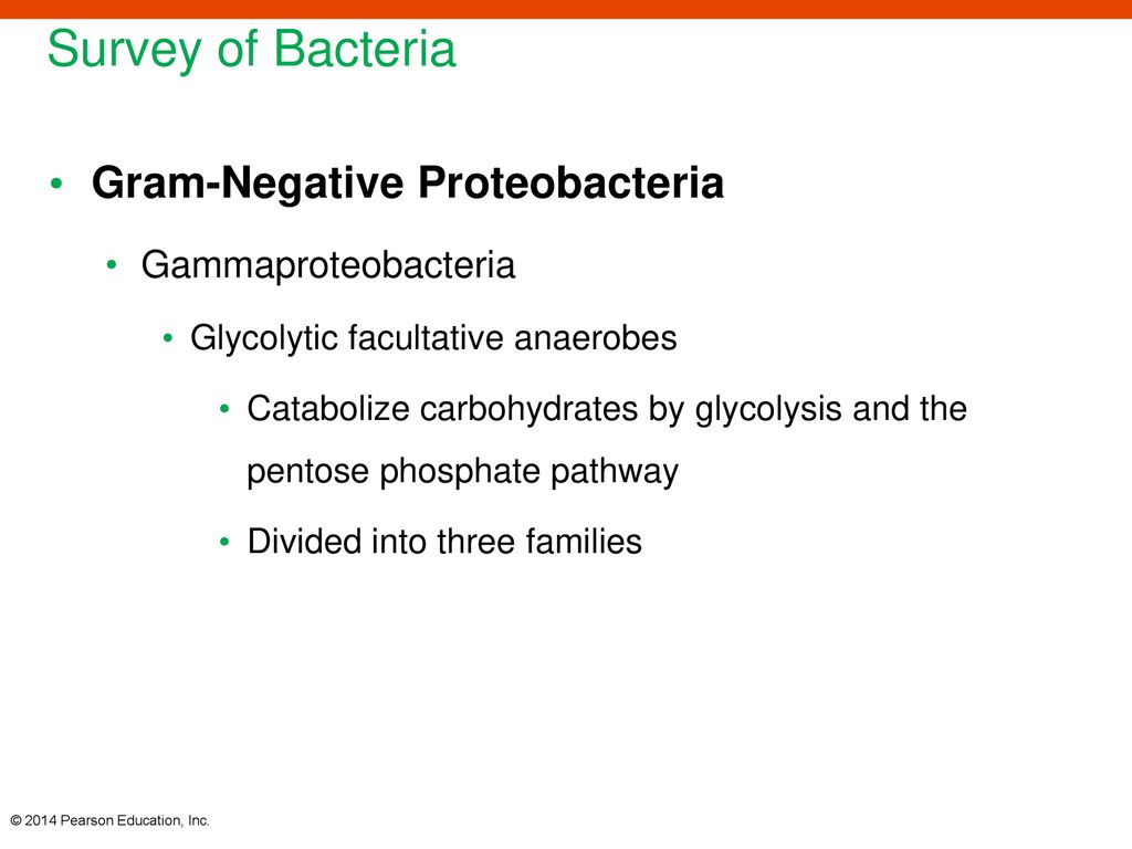 Survey of Bacteria Gram-Negative Proteobacteria Gammaproteobacteria