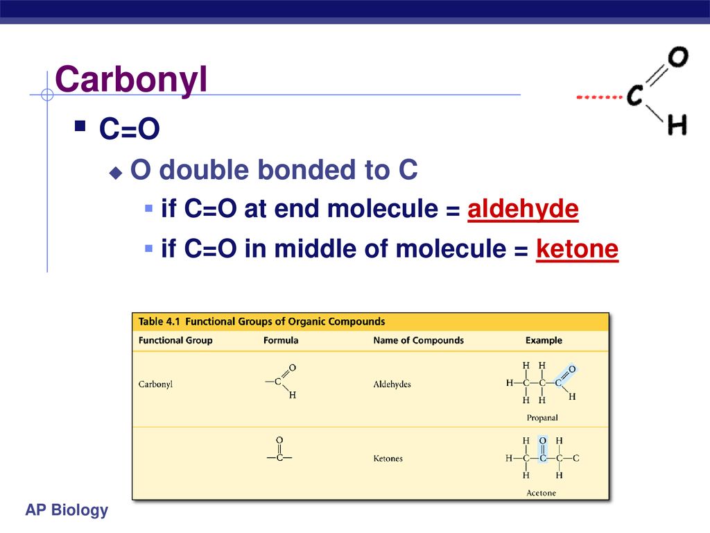 Building Blocks of Life ppt download