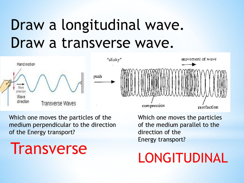 Transverse and longitudinal Waves. Longitudinal study. When the waves
