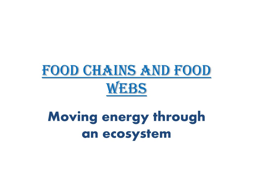 Energy Roles in Ecosystems Biology Diagrams