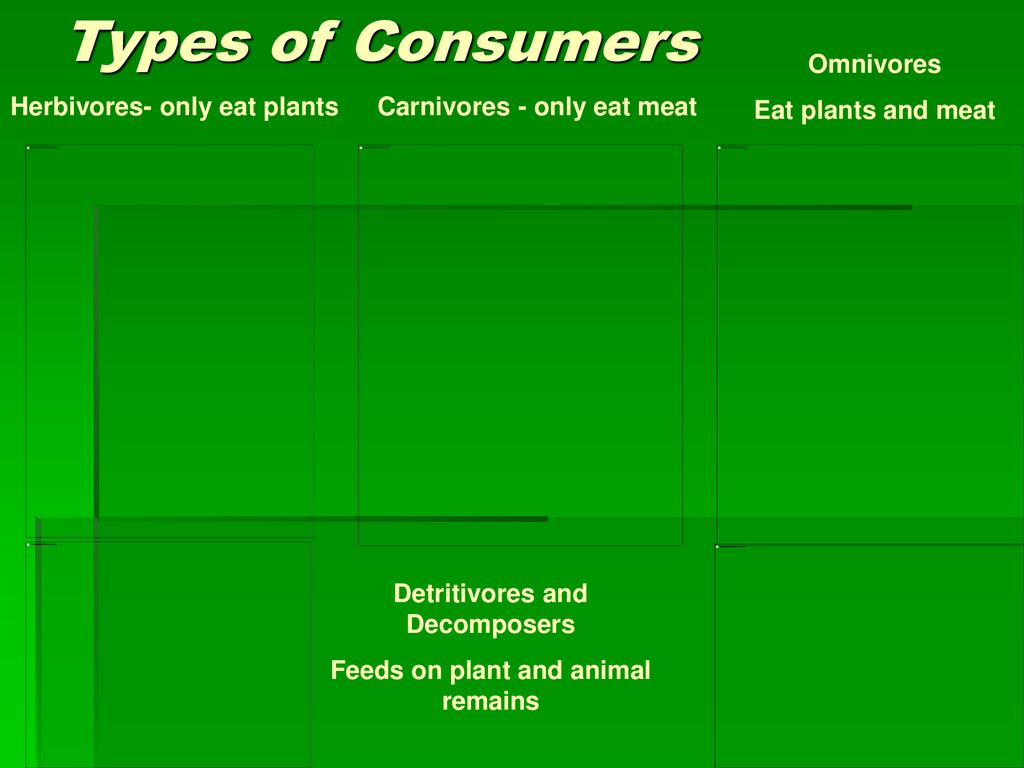 THE BIOSPHERE Ch. 3 p ppt download Biology Diagrams