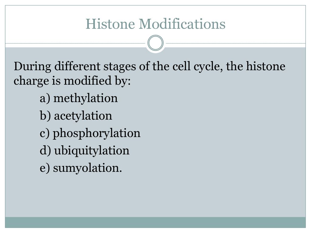 Epigenetics and Inheritance Biology Diagrams