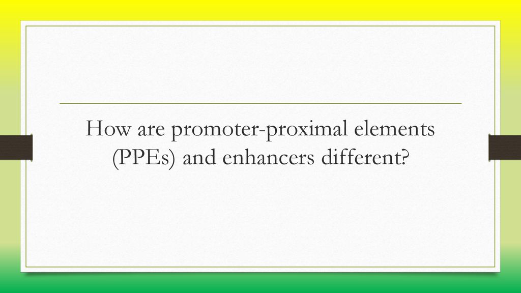 How are promoter-proximal elements (PPEs) and enhancers different