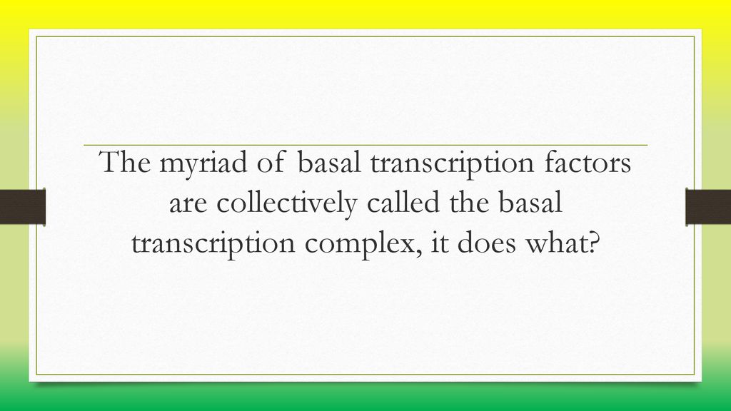 The myriad of basal transcription factors are collectively called the basal transcription complex, it does what