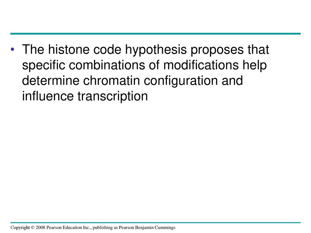 The histone code hypothesis proposes that specific combinations of modifications help determine chromatin configuration and influence transcription
