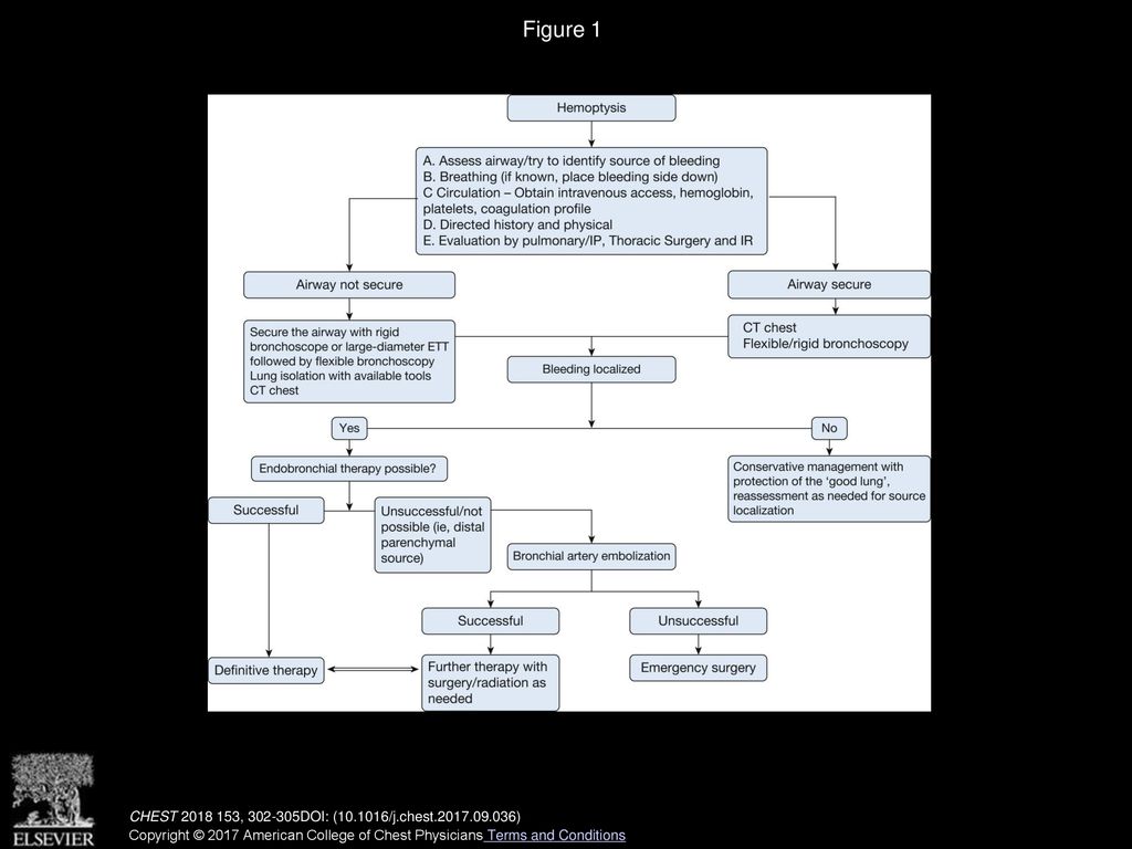 Jose Cardenas-garcia, Md, David Feller-kopman, Md, Fccp Chest - Ppt 