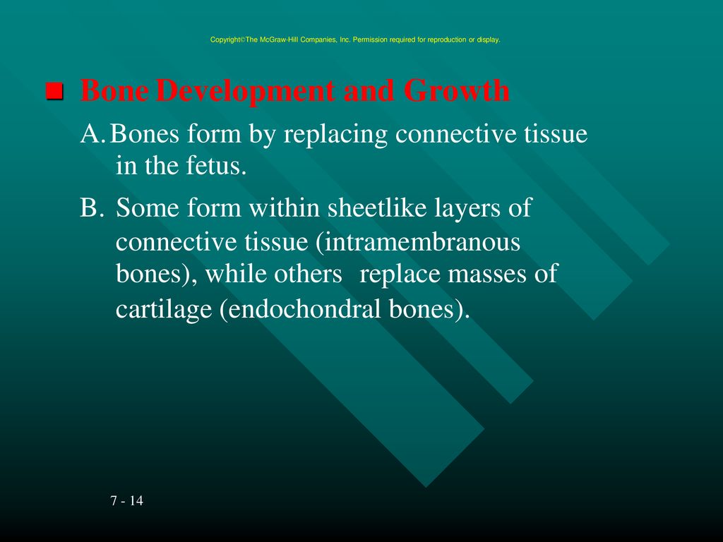 Copyright The McGraw Biology Diagrams