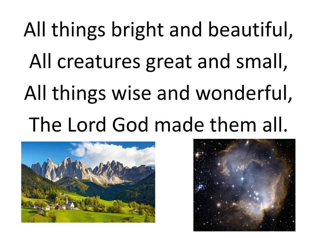 Beauty ppt download