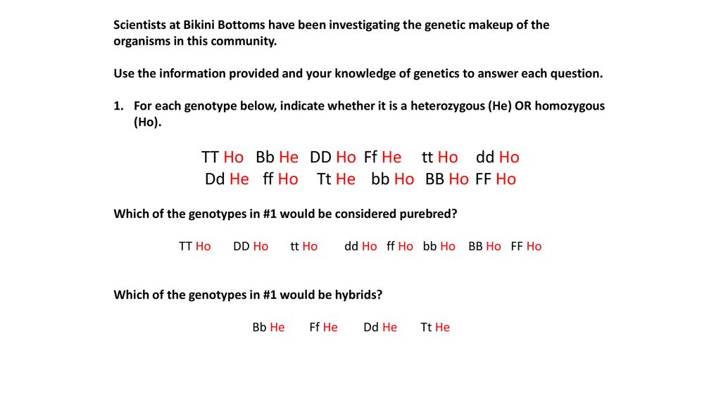 Punnett Squares With Sponge Bob Ppt Download