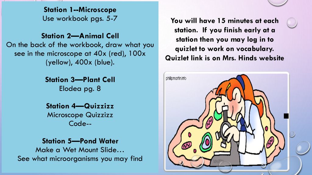 Wednesday February 21, 2018 TEKS: —Differentiate between structure and  function in plant and animal cell organelles, including cell membrane, cell.  - ppt download