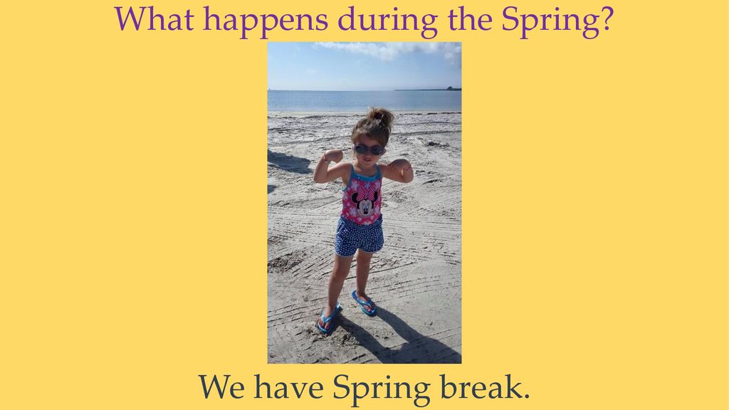 What happens during the Spring