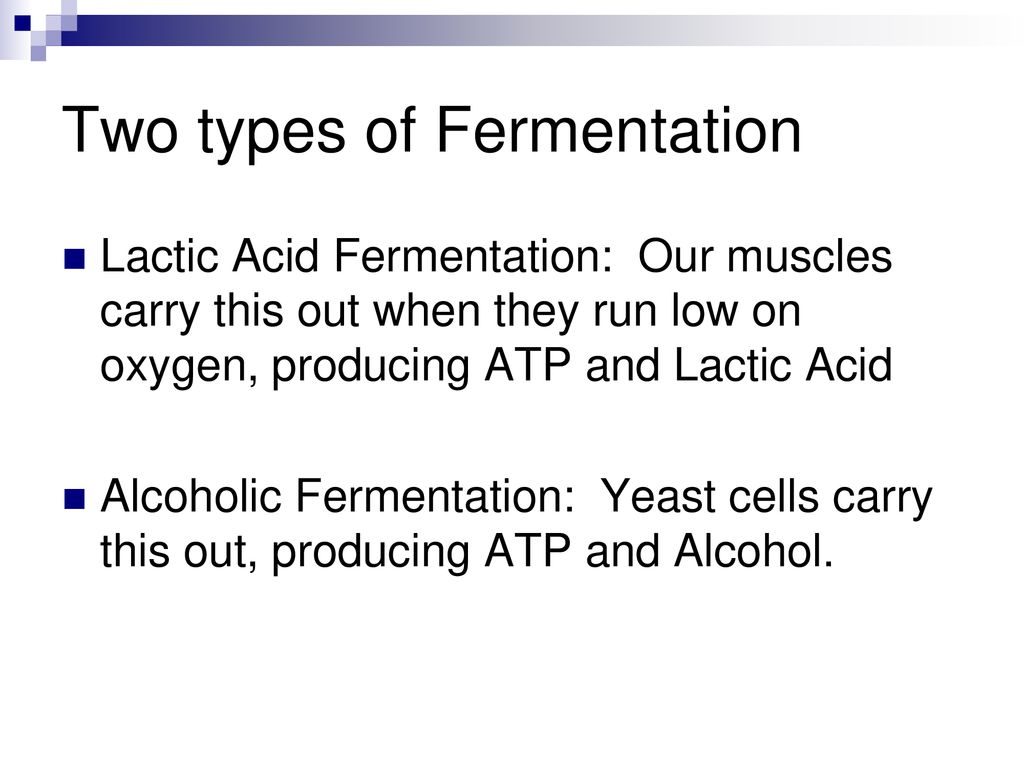 Anaerobic respiration and alternative pathways for fuel ppt download