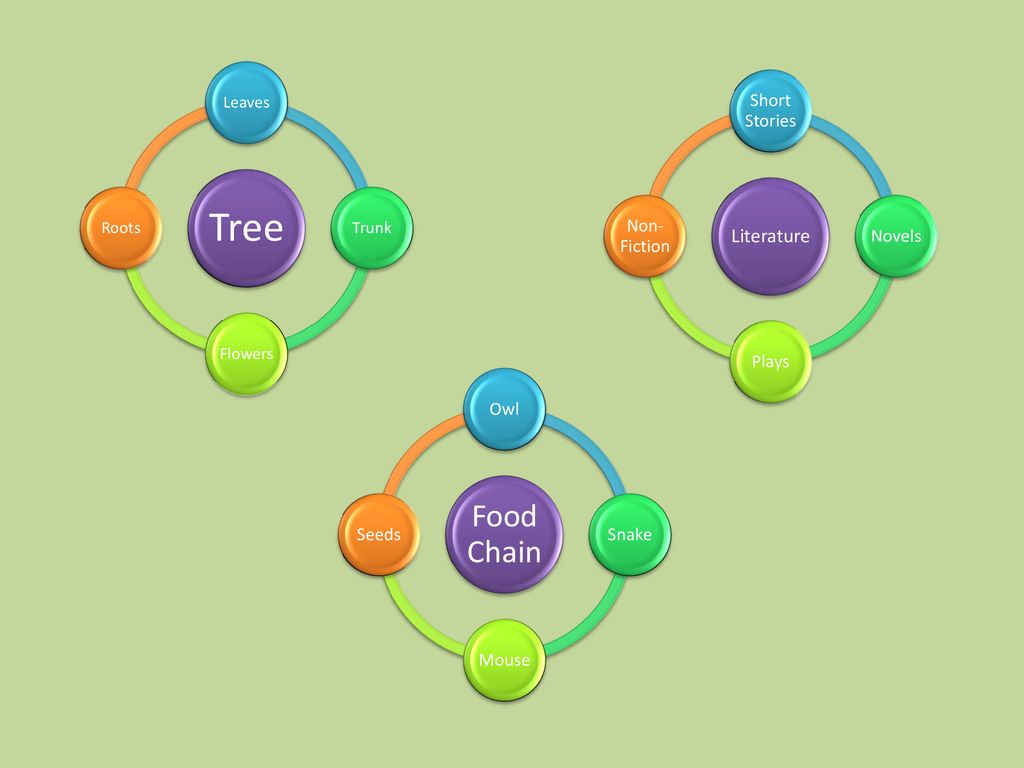 Speech (and Informal Essay) Structures Biology Diagrams