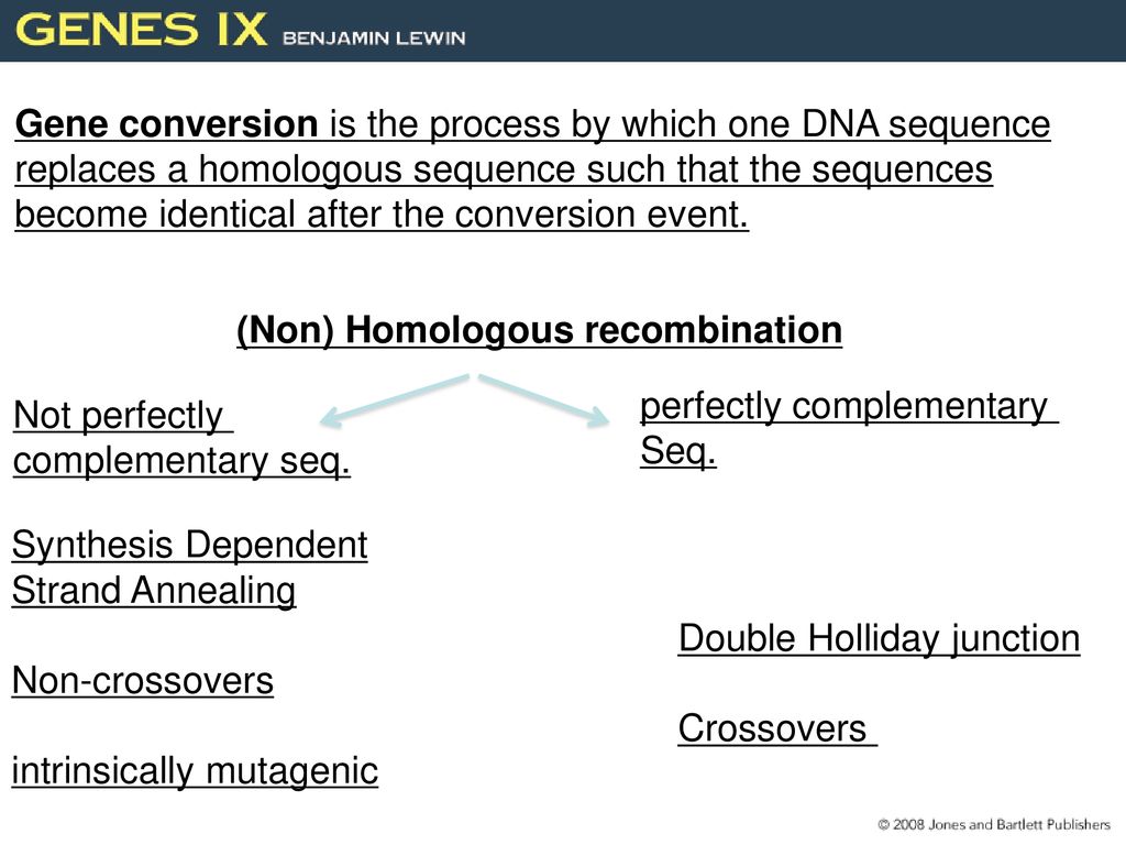 Gene conversion is the process by which one DNA sequence replaces a homologous sequence such that the sequences become identical after the conversion event.