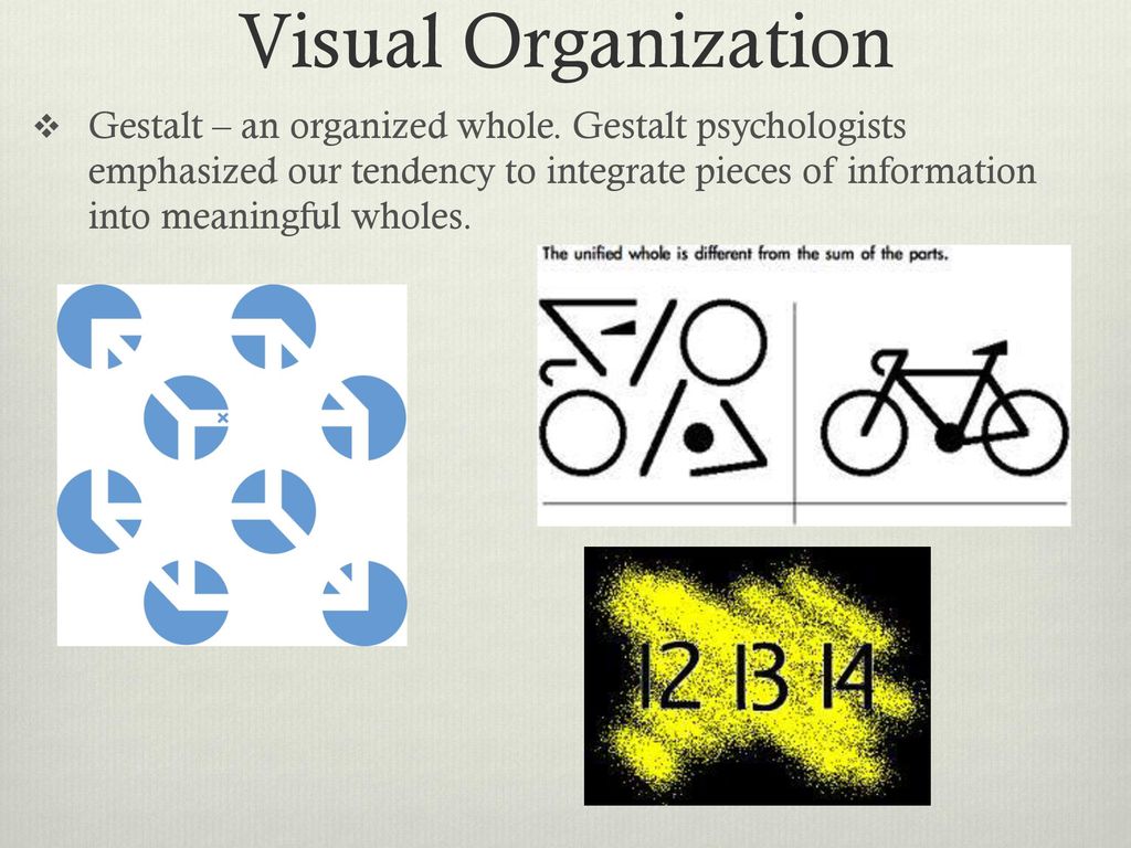 Visual Organization and Interpretation - ppt download