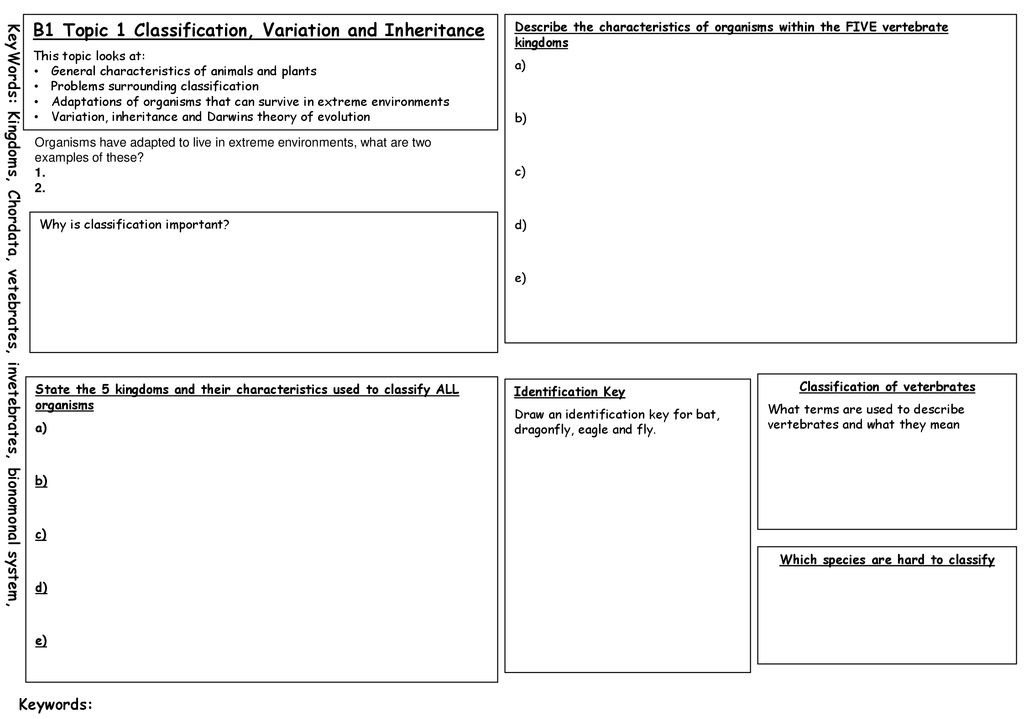 Classification of veterbrates - ppt download