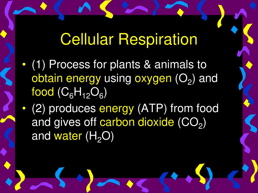 Cellular Respiration (1) Process for plants & animals to obtain energy using oxygen (O2) and food (C6H12O6)