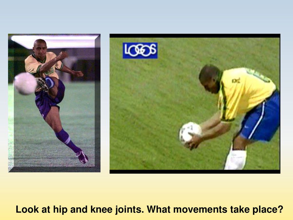 Look at hip and knee joints. What movements take place