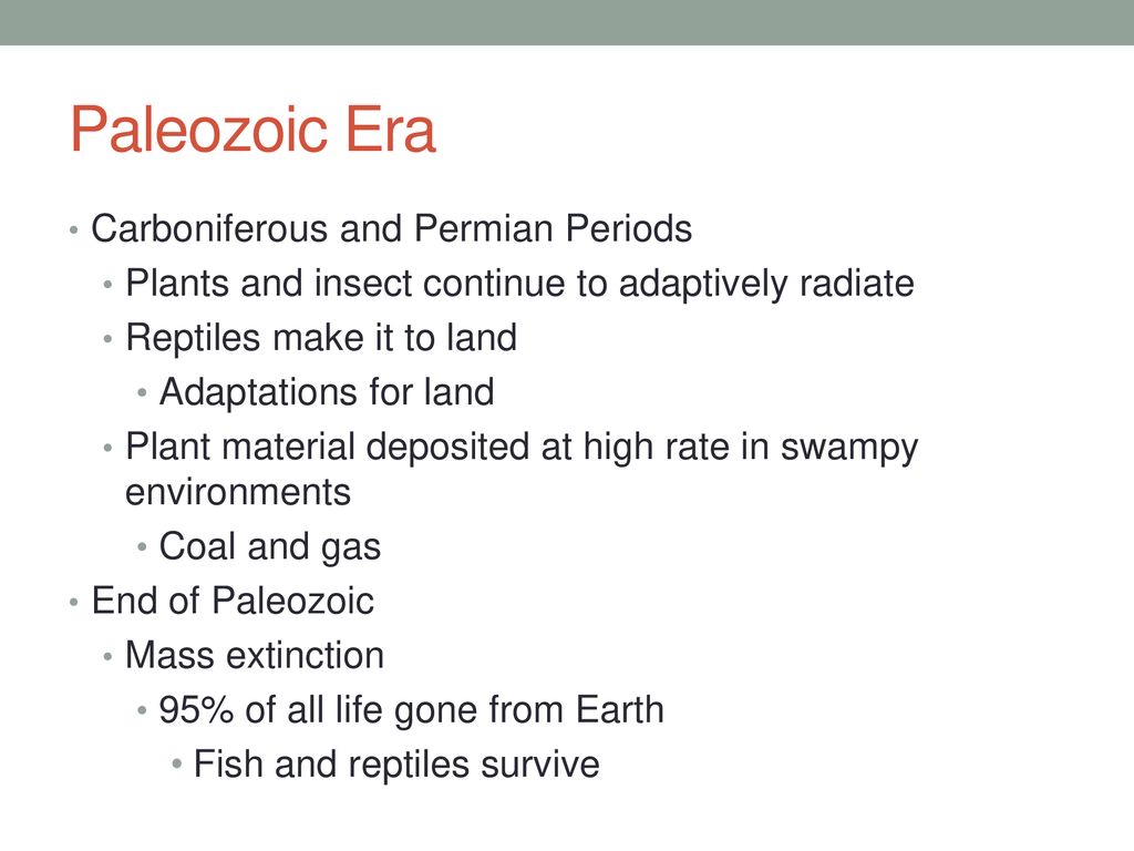 Section 1: THE FOSSIL RECORD - ppt download