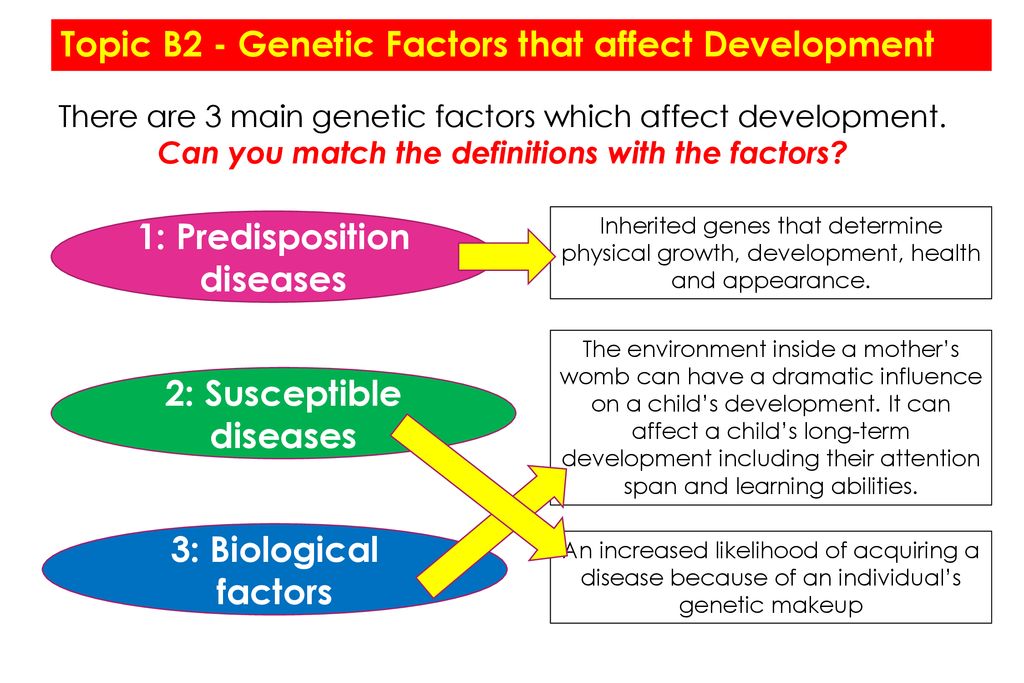 heredity factors affecting child development