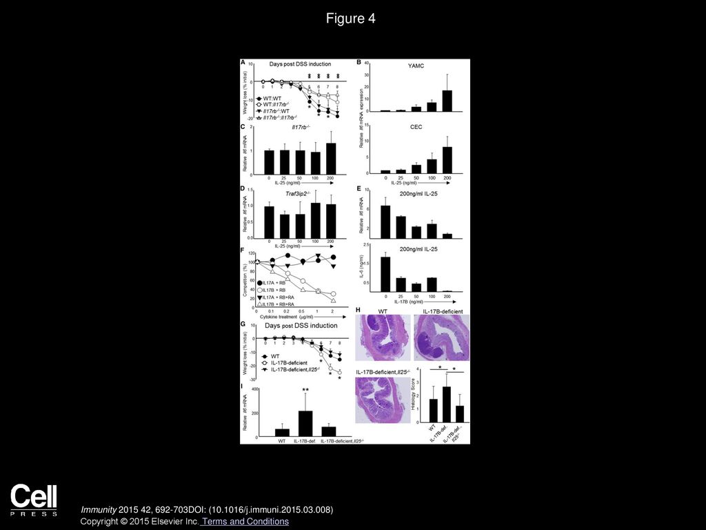 Figure 4 IL-17B Inhibits IL-25-Mediated IL-6 Production in Colon Epithelial Cells.