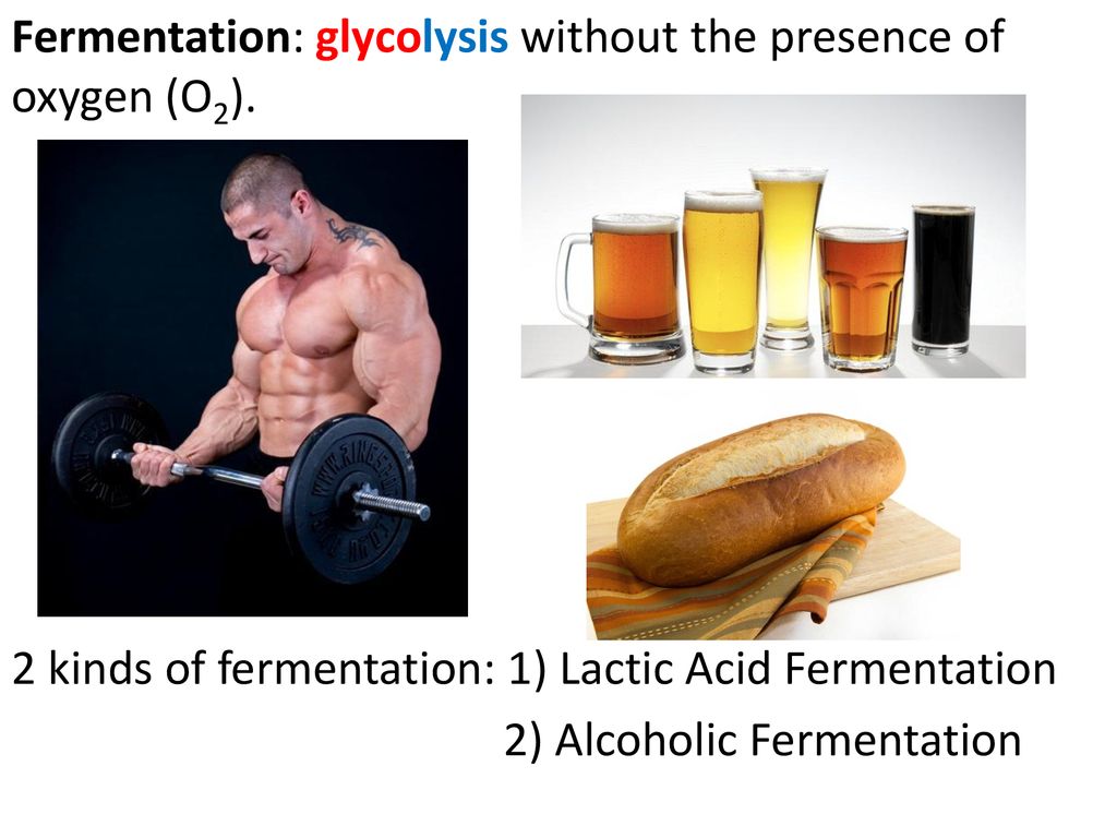 Fermentation: glycolysis without the presence of oxygen (O2)