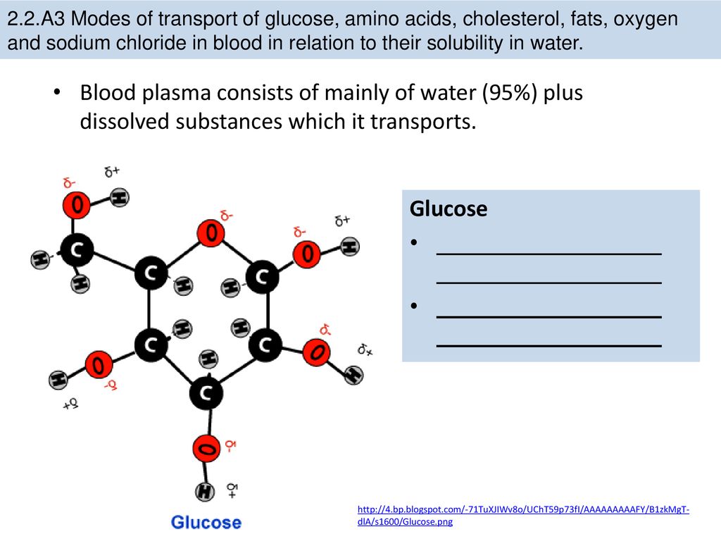 2.2.A3 Modes of transport of glucose, amino acids, cholesterol, fats, oxygen and sodium chloride in blood in relation to their solubility in water.